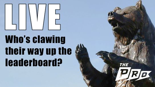 Live Leaderboard. Photo by Jason Getz-Imagn Images